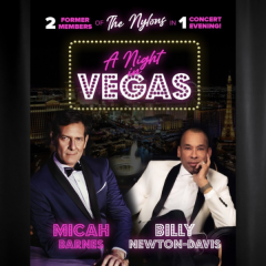 A Night In Vegas