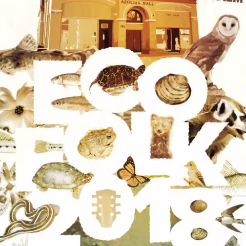 Eco Folk 2018