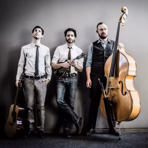 Andrew Collins Trio