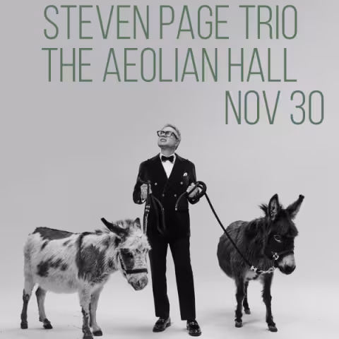 Steven Page Trio