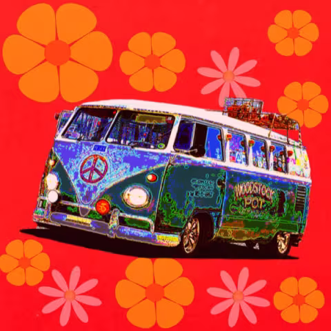 The Woodstock Experience